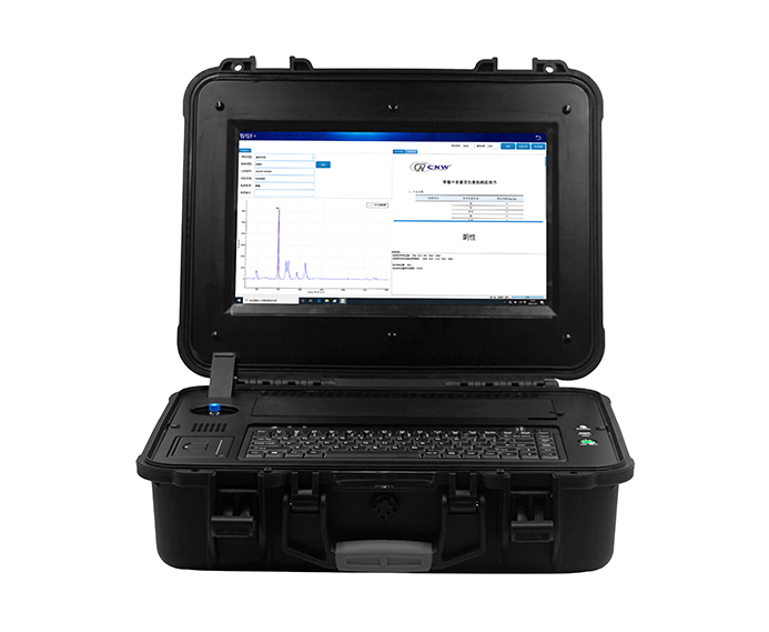 Raman Food safety Inspection Instrument